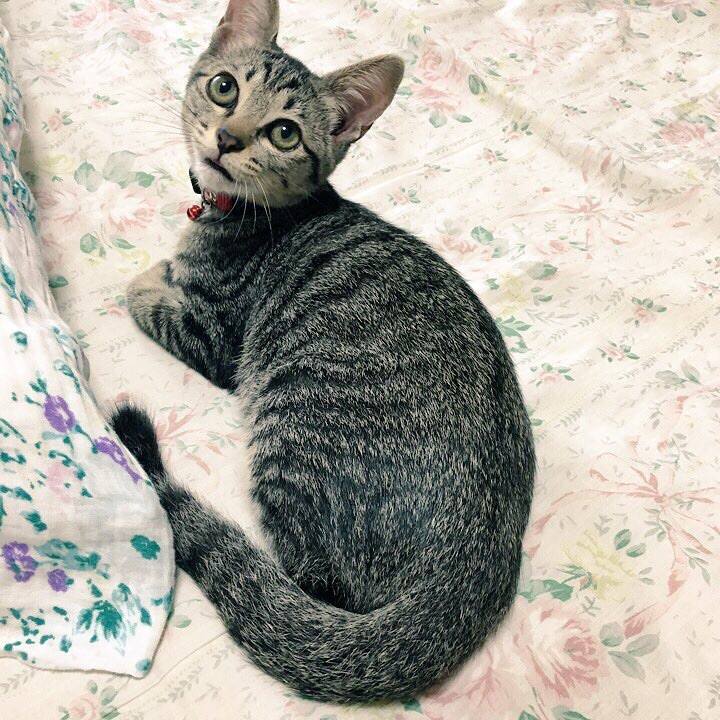 C2e66f10 adb0 41f1 bd05 b9925b110bc8