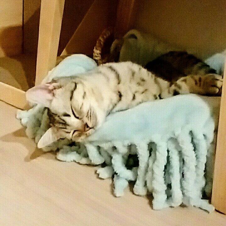 C2e74e0f 9398 4aa1 9e76 660d40aa200f