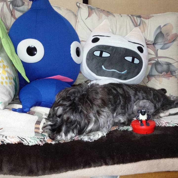 C2e7504a 7c9b 44ca b58f 6eea9e8aee53