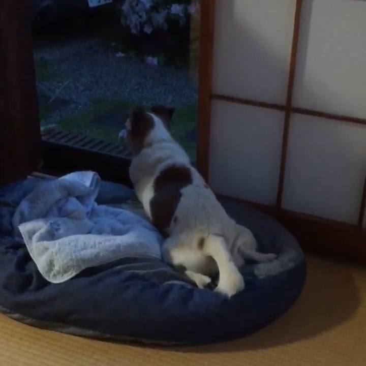 C2e871c5 0a51 44e8 897b 1504ef36b7b9