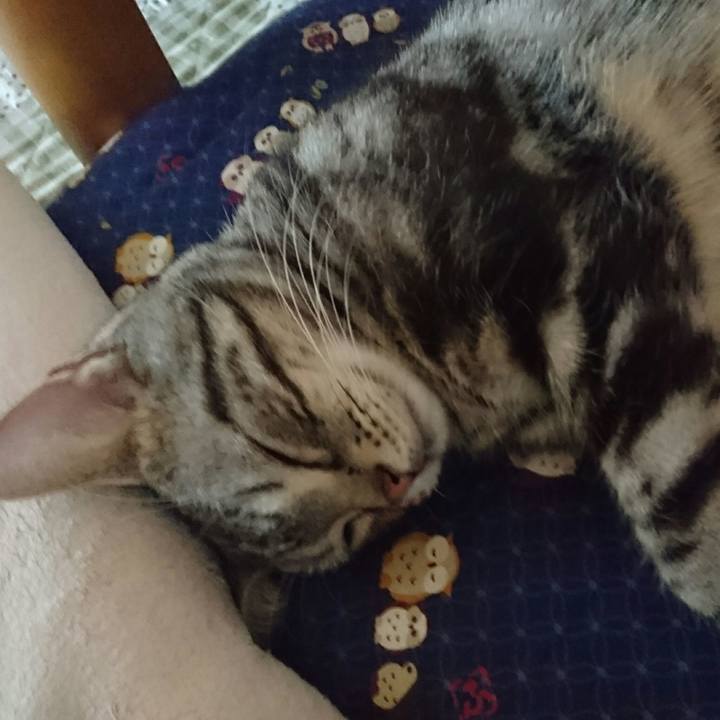 C2e87cba 0a6f 4b5a b402 1c7937709fcf