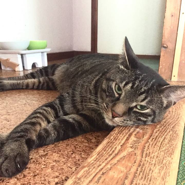 C2e91012 a0b8 4cbf aad5 4c822973007d