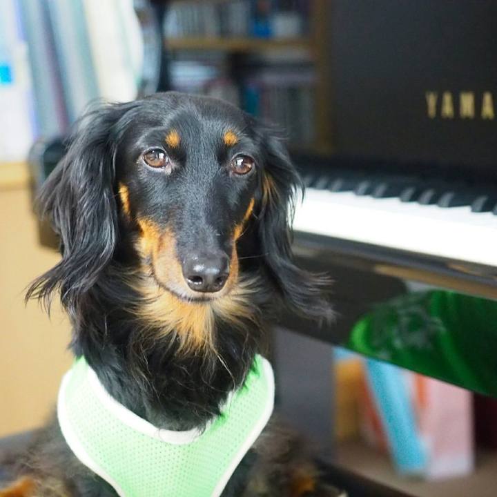 C2e993ff 5018 45ba 84b9 fd6fe7aa03d8