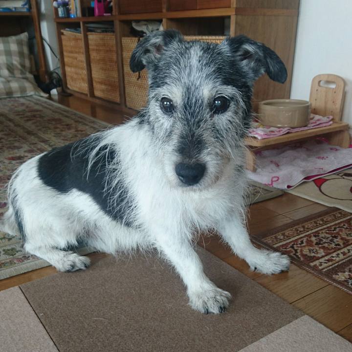 C2e9c17b 7008 4c20 8824 1903d61ef1c8