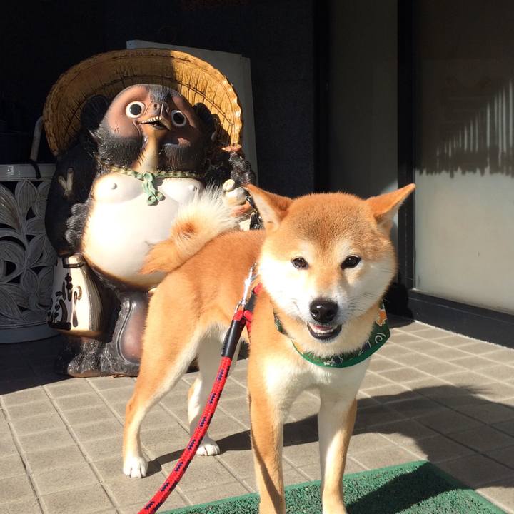 C2ea0d16 b6d2 4942 8649 c6feeb2fd224