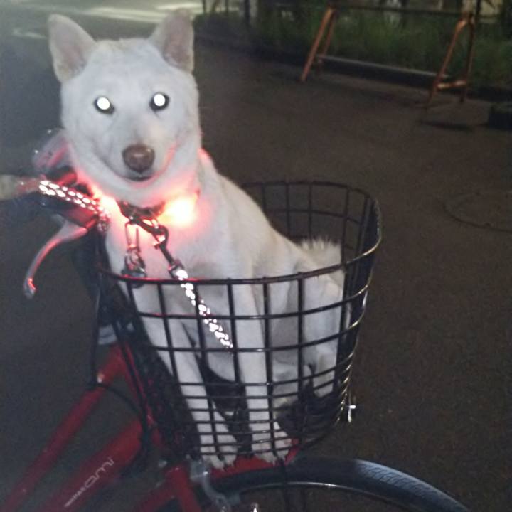 C2ea5566 23d9 4d7f b430 3381e77927fd