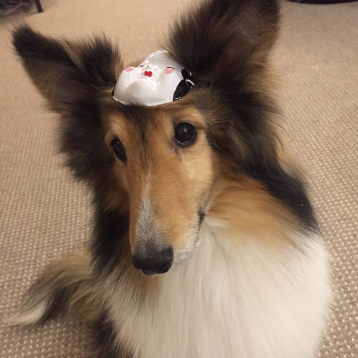 C2eaf80e 8981 4000 8724 67791896c2b2