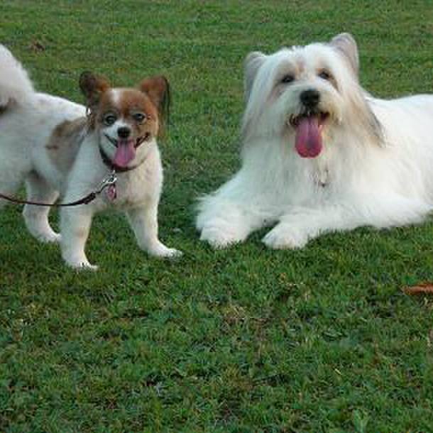 C2eb1da4 eb9b 4000 bc9c 49971fd19083