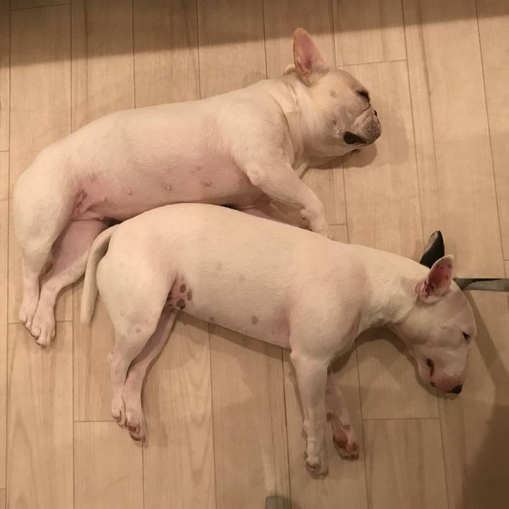 C2eb40ca 2f2c 48a2 bc0d 7836837920a6