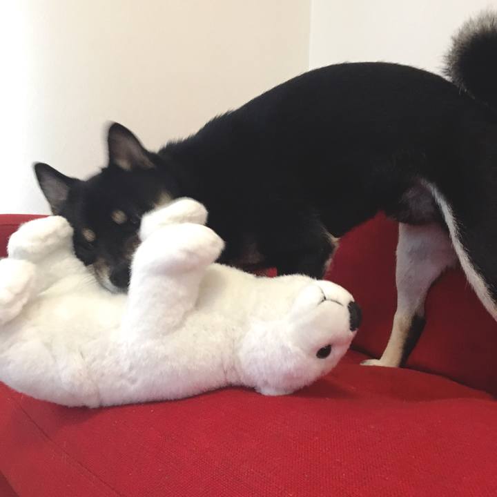 C2eb71fe 1717 480b b2d2 d66295e0fad7