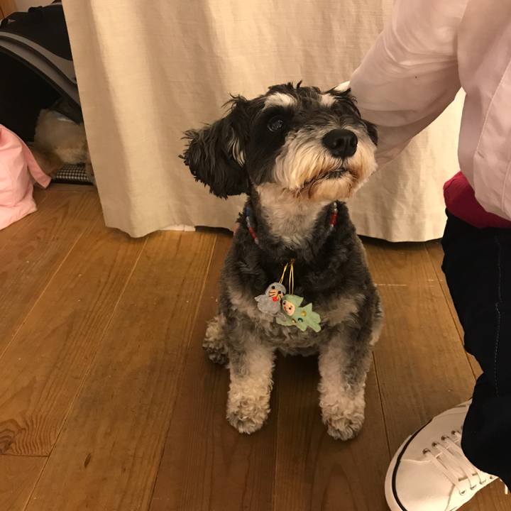 C2ec52f3 acc6 4757 9891 d50f75fc3de2