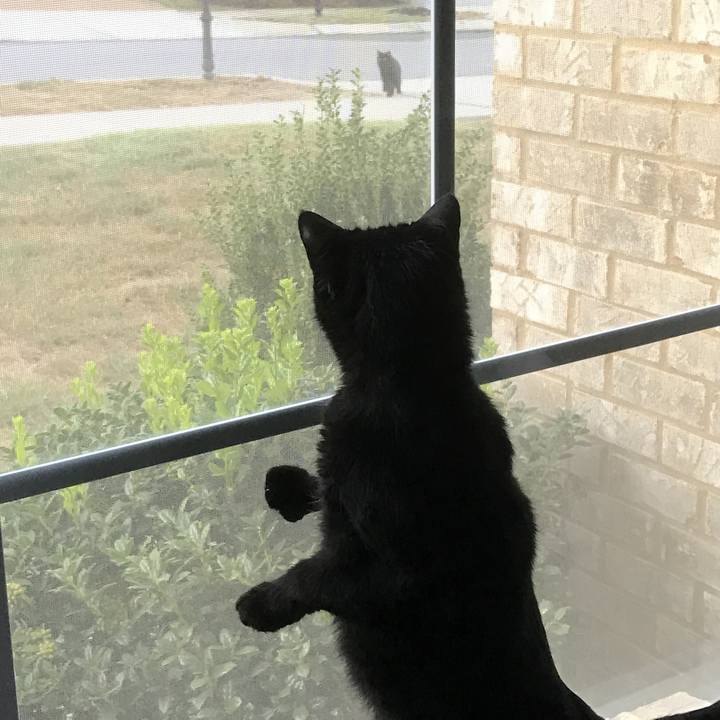 C2ecedff 3c6c 4c52 89ad fe94977d778b