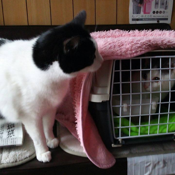 C2ed7b9f 1dec 4a99 80ad e00ef3cda926