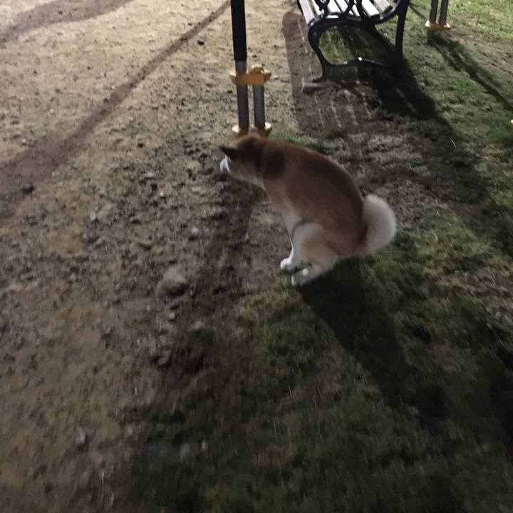 C2ed8359 22f5 4a3d ad56 e0087e5f40b5