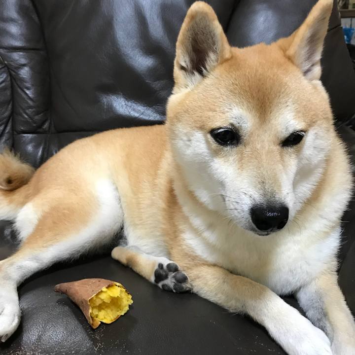 C2edaa3a 4d84 4c34 8cc5 e9551af9fced