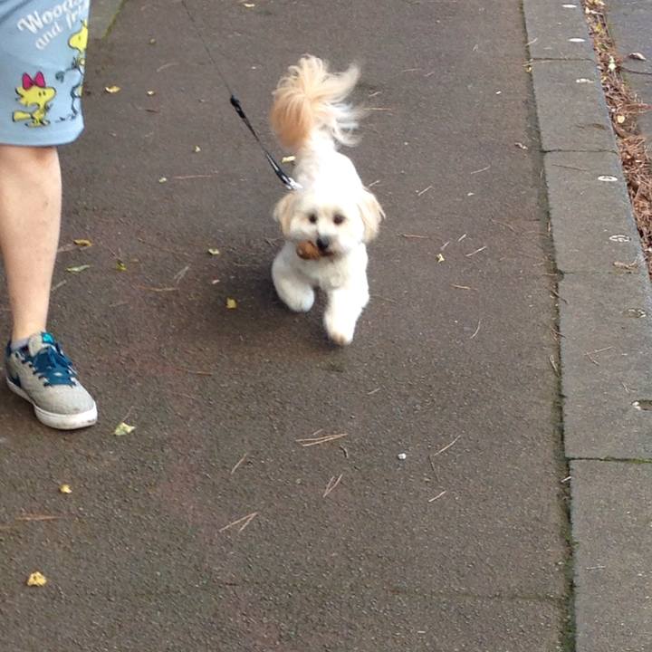 C2ee788e 9140 43da 9cba 963c84b1be15