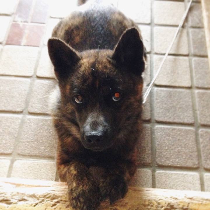 C2ef35d4 5902 4ad5 8222 7972be7f6503