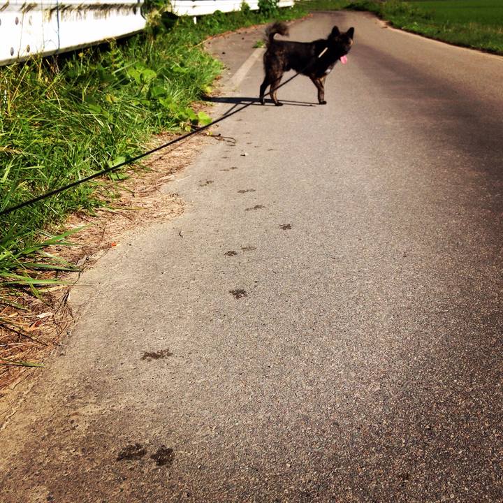 C2ef473e fe29 4d76 bc8b d08ea074ab1d