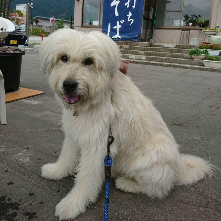 C2ef755c 666c 4b56 b38d b76ddb47b98e