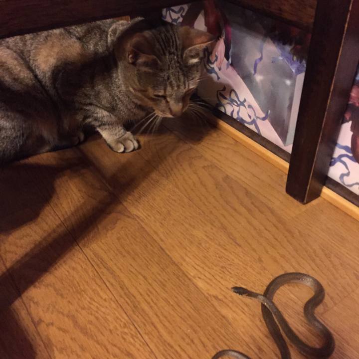 C2efb00d 9d0a 474a 942e 85b69225f8db