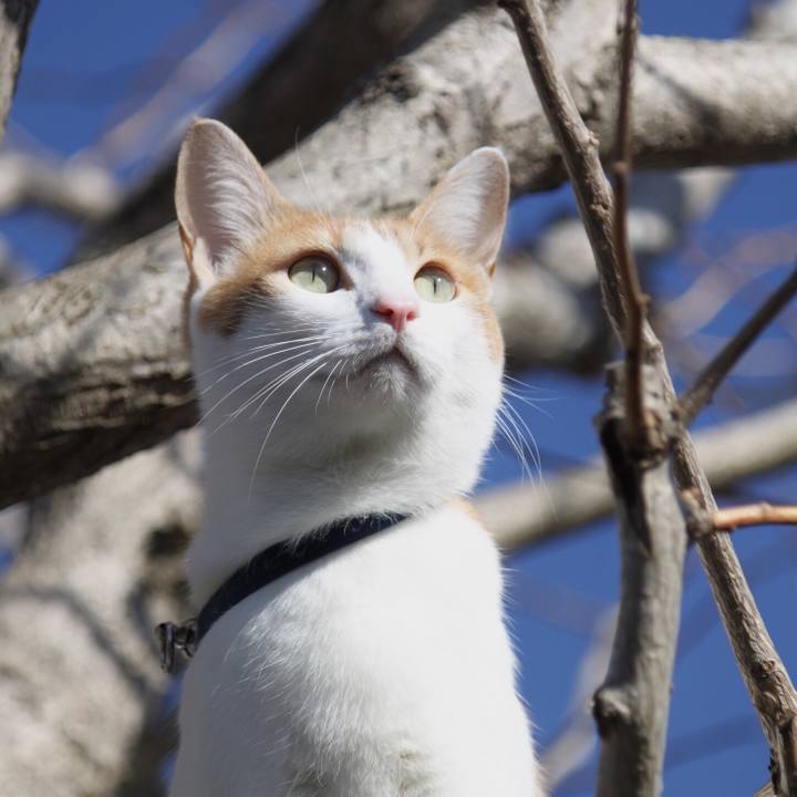 C2f0007a 91c2 4389 9e62 a42aeedfea70