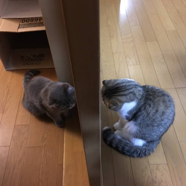 C2f00b4f d56d 4756 a2ba 4ce09109f877