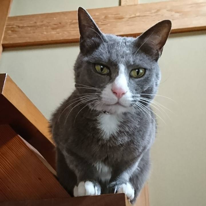 C2f02d4d 32b2 48e8 bf87 def5b98192aa