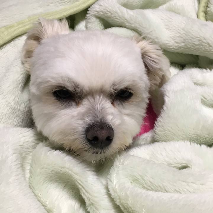 C2f04f10 4f5b 48d0 88e1 1bfb2bb9a3d9