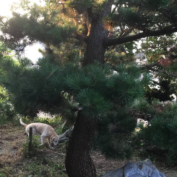 C2f0b739 02c0 44bd 99cc 4c264013588c