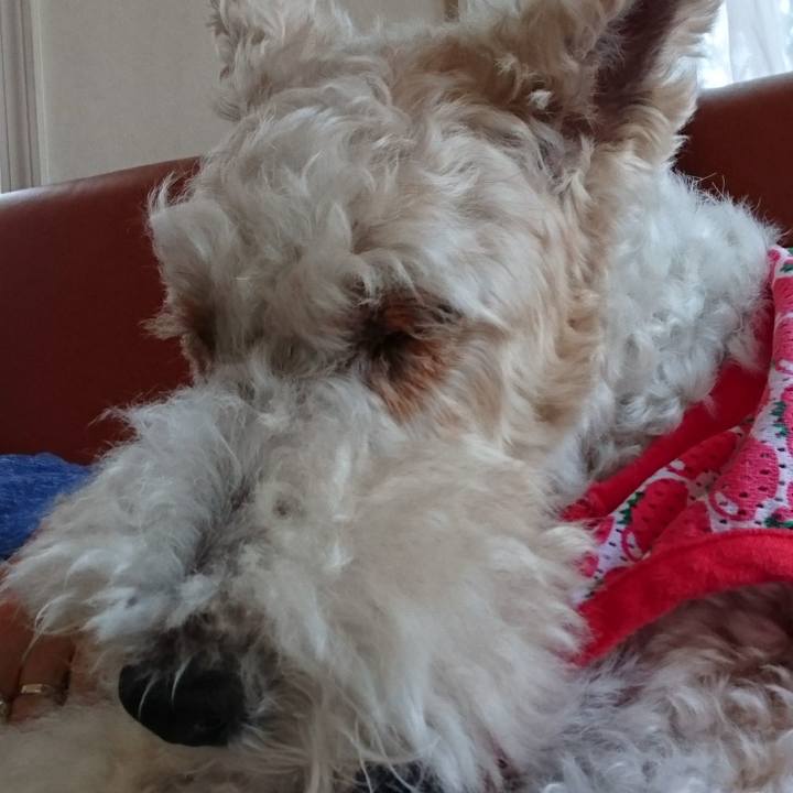 C2f17623 f8bd 4bff bbc4 1f9a17ffc051