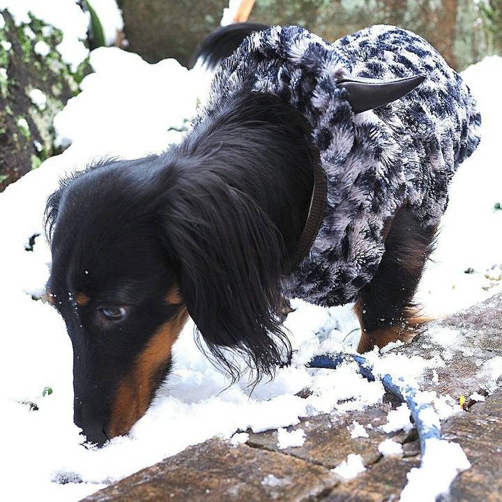 C2f18328 f312 400b 8479 9fcedd921b9b