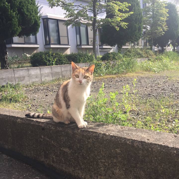 C2f2738f 65e8 4887 9ff0 423d1df12e2e