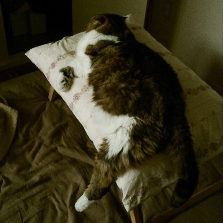 C2f2b349 9f91 49dd a0e7 429dad9014ee