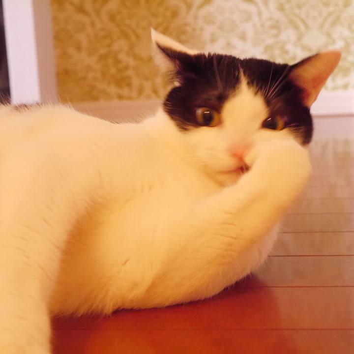 C2f47160 44f1 4935 8131 a8f3eece484d