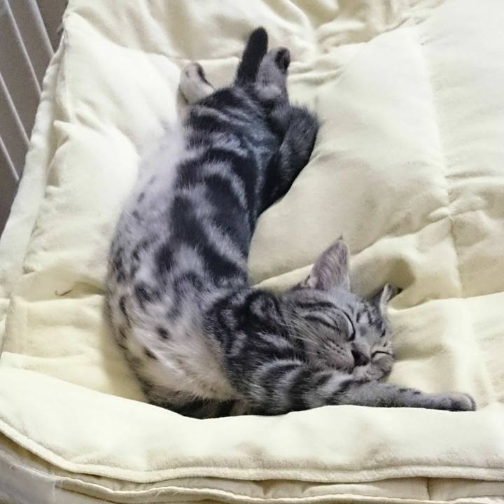 C2f4c299 d65c 4b13 8241 4b7a6e8956a8