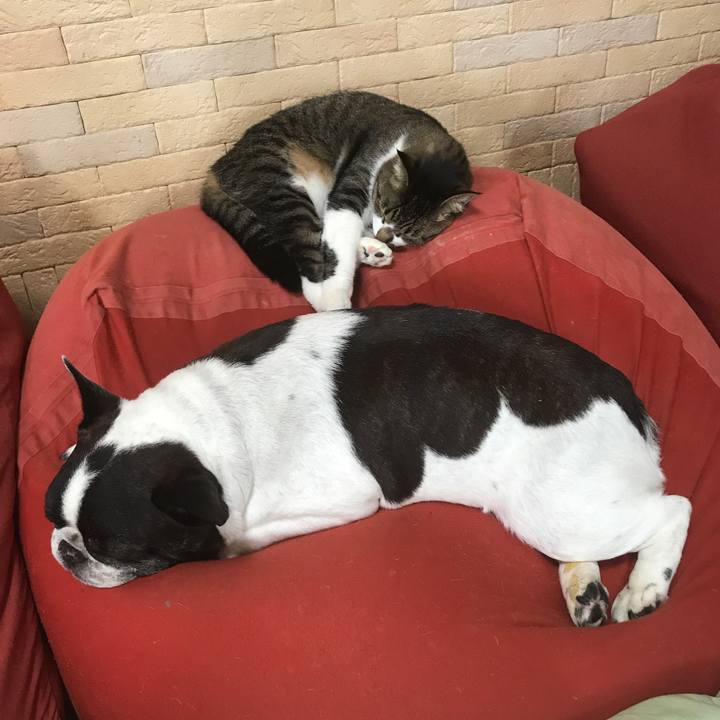 C2f4d63e 65b2 4997 863e 83a407268950