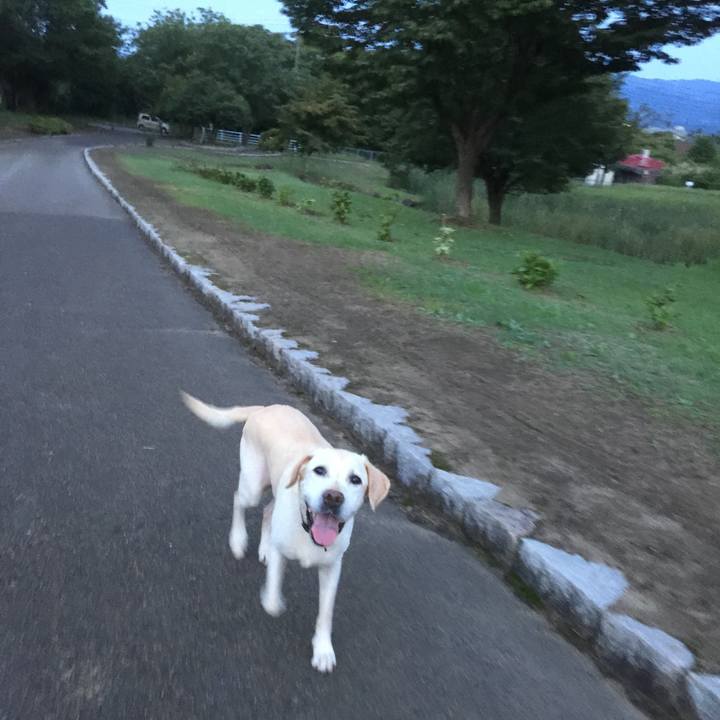 C2f4e361 e858 488a 8e8c 1548d1f0736c