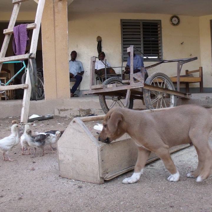 C2f55965 6ee5 431d a907 c22ef274af77