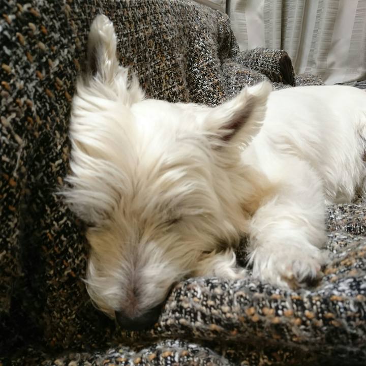 C2f568ac 8aa7 4e3a 8a3d 40e38422ab5b