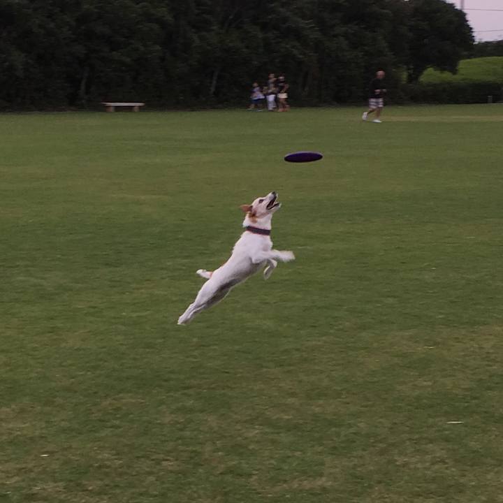 C2f594d4 f078 48ae bd6a 22ab561ab1e9