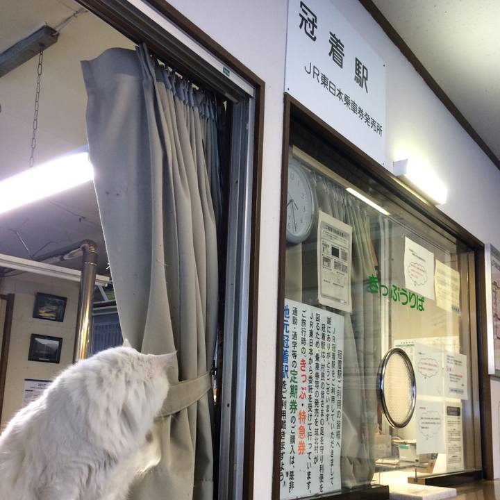 C2f59b59 9d0e 4b63 9735 db87fe4a4fcc