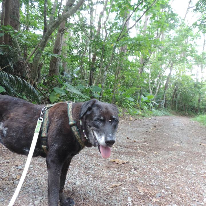 C2f5a21f 6942 4716 9ca0 7b0b75484822