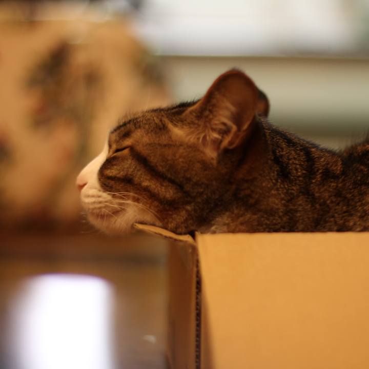 C2f73c7b 7a9d 49fb a815 a794b29eb0a0