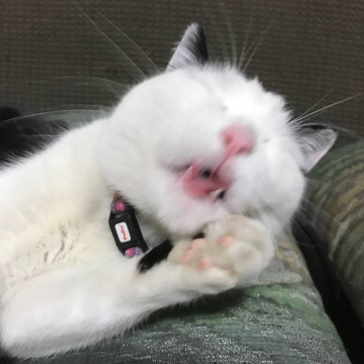 C2f7d4e8 e4ae 4ba4 90c2 26baff3b7d75