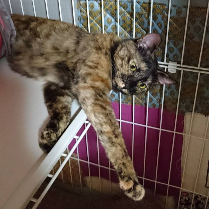 C2f8247e b5cb 45c0 99a5 00a7698351ba