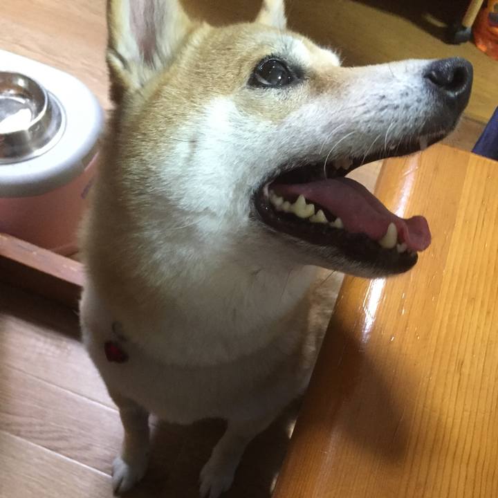 C2f82c45 629f 4fe6 9d61 42f7e80dda2b