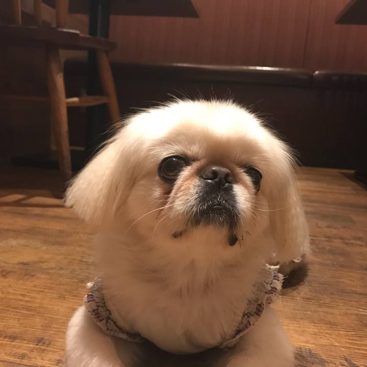 C2f85389 170a 4db0 9b6c 2c7a68314ffb