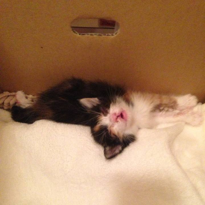 C2f8a212 f6fd 4456 bd85 0bdf824ab288