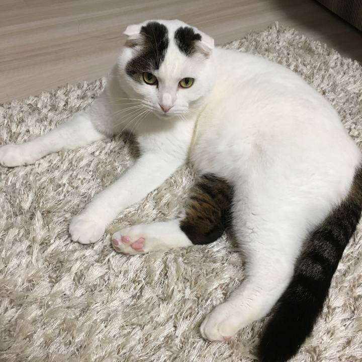 C2f8bb13 937a 4ea3 8675 6ac947bedba7