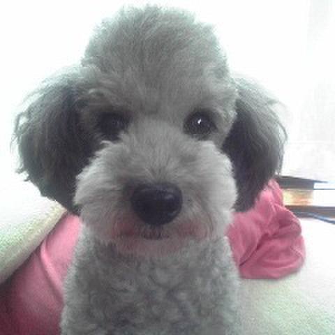 C2f943b5 f4d6 4b2d 86d2 ee5dd8ec051e